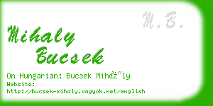 mihaly bucsek business card